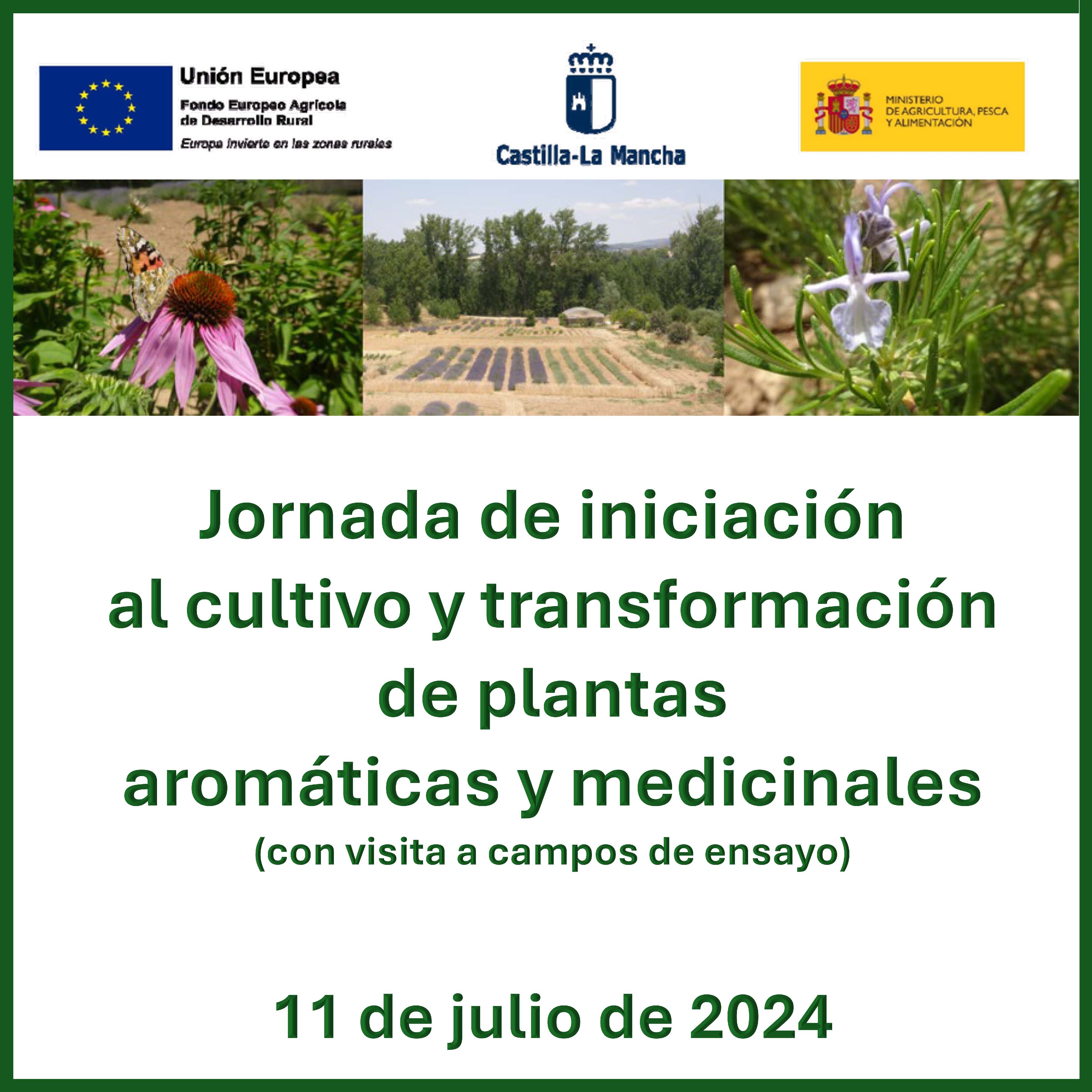 Jornada de iniciación al cultivo y transformación de plantas aromáticas